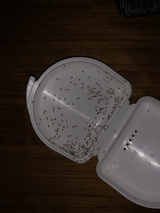 Zimmer ROBINSON QUINTA DA RIA