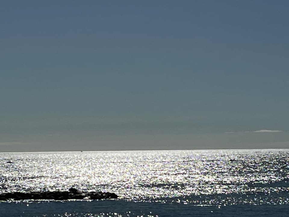 Ausblick Hotel Riu Arecas - Adults only