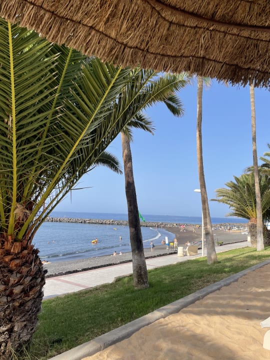 Ausblick Hotel Riu Palace Tenerife