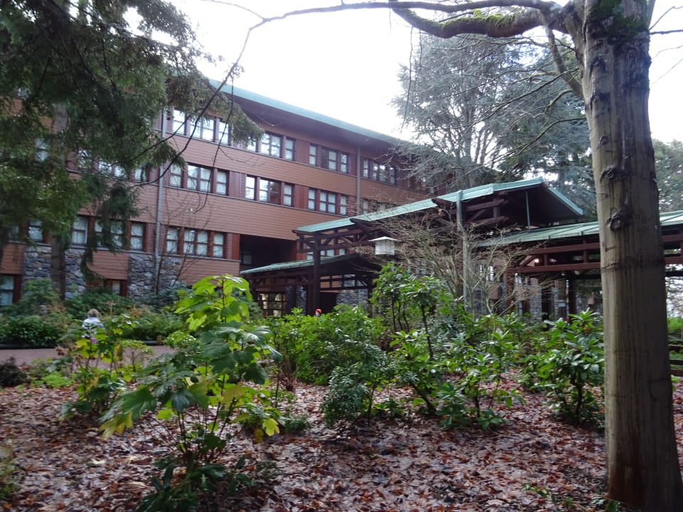 Außenansicht Disney's Sequoia Lodge