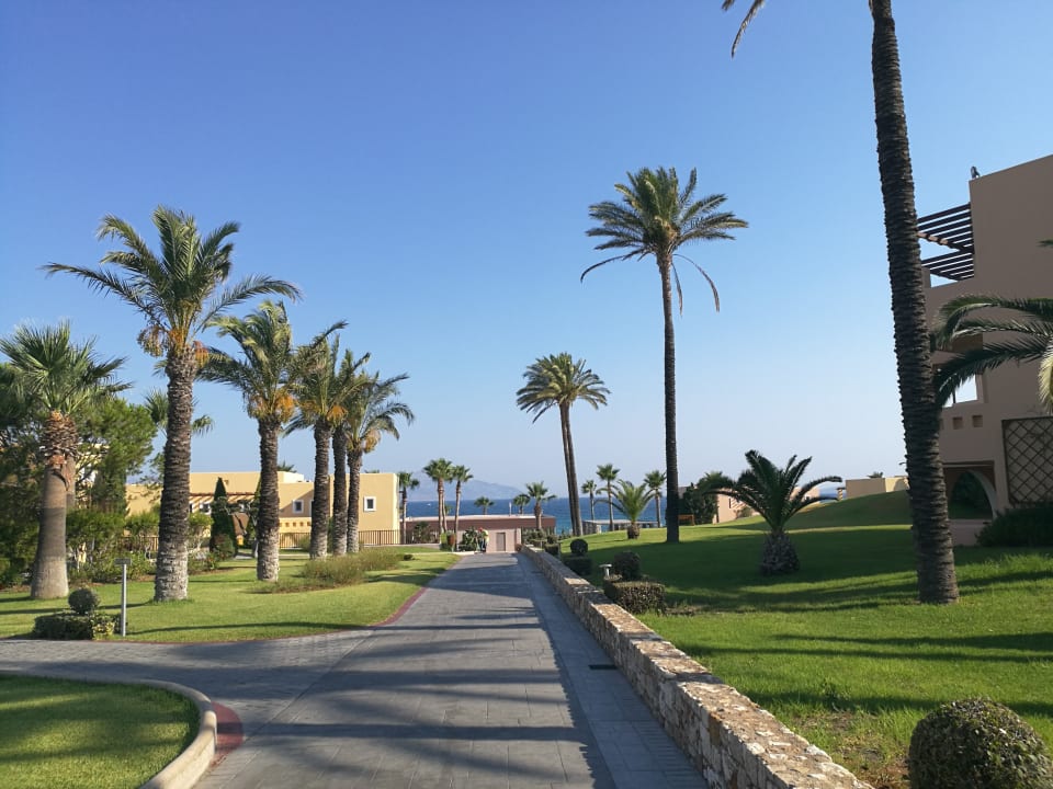 Gartenanlage Hotel Horizon Beach Resort