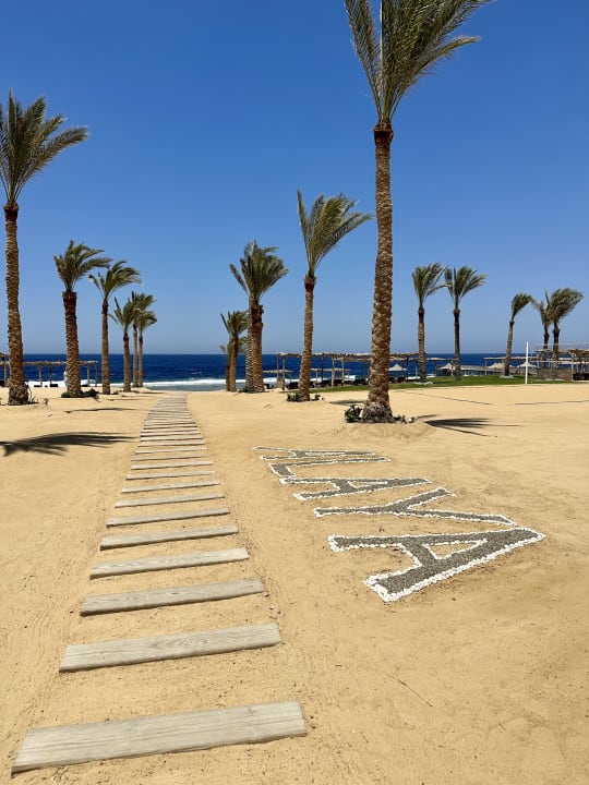 Strand Steigenberger Resort Alaya Marsa Alam - Red Sea - Adults only