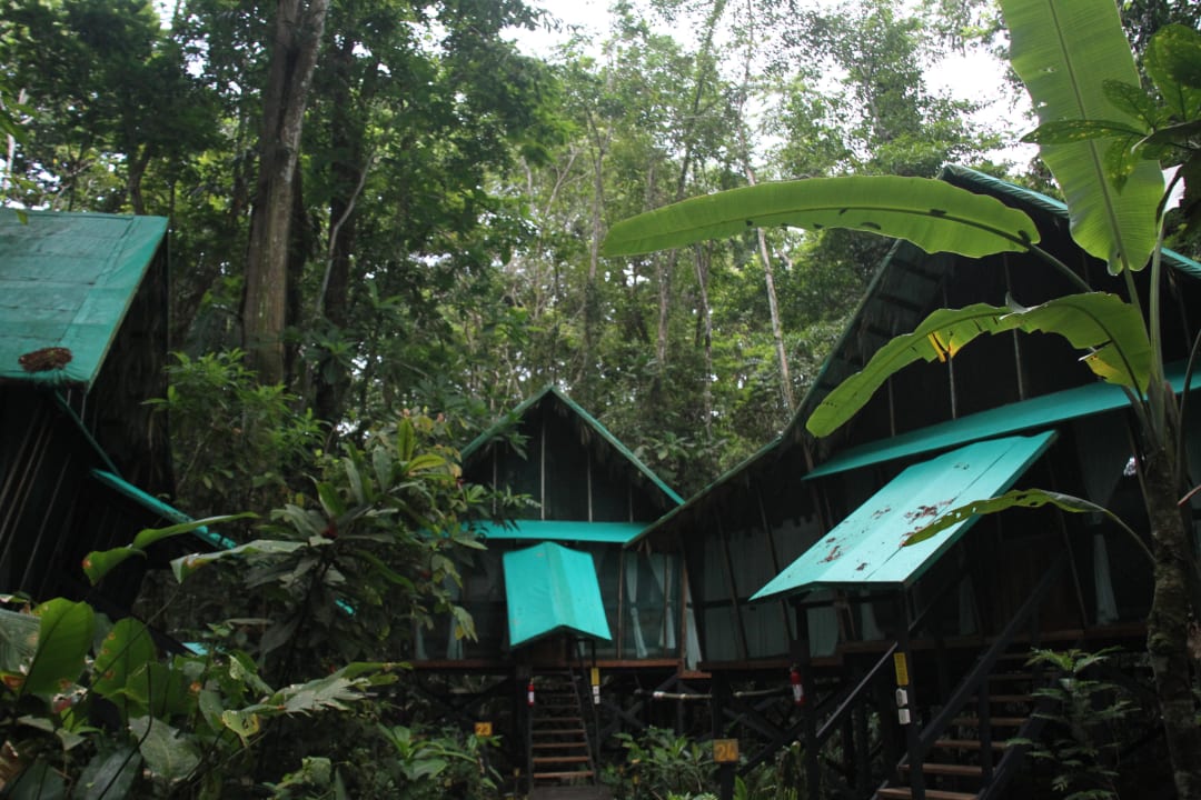 Zugang Bungalows Hotel Almonds & Corals