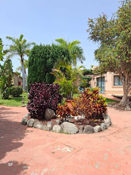 Gartenanlage allsun Hotel Esplendido