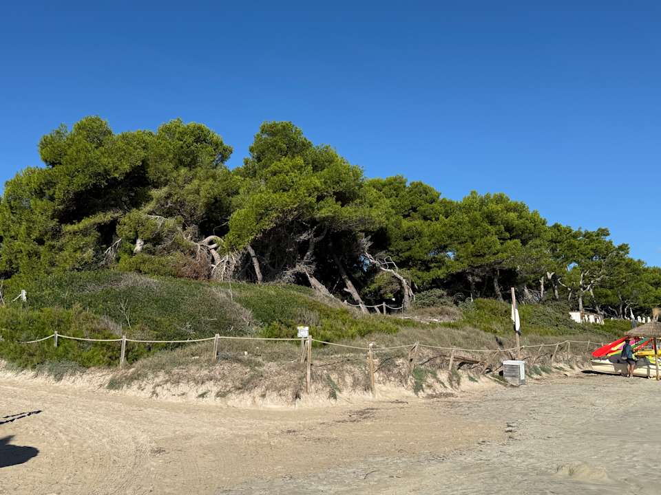 Strand Mar Hotels Playa de Muro Suites