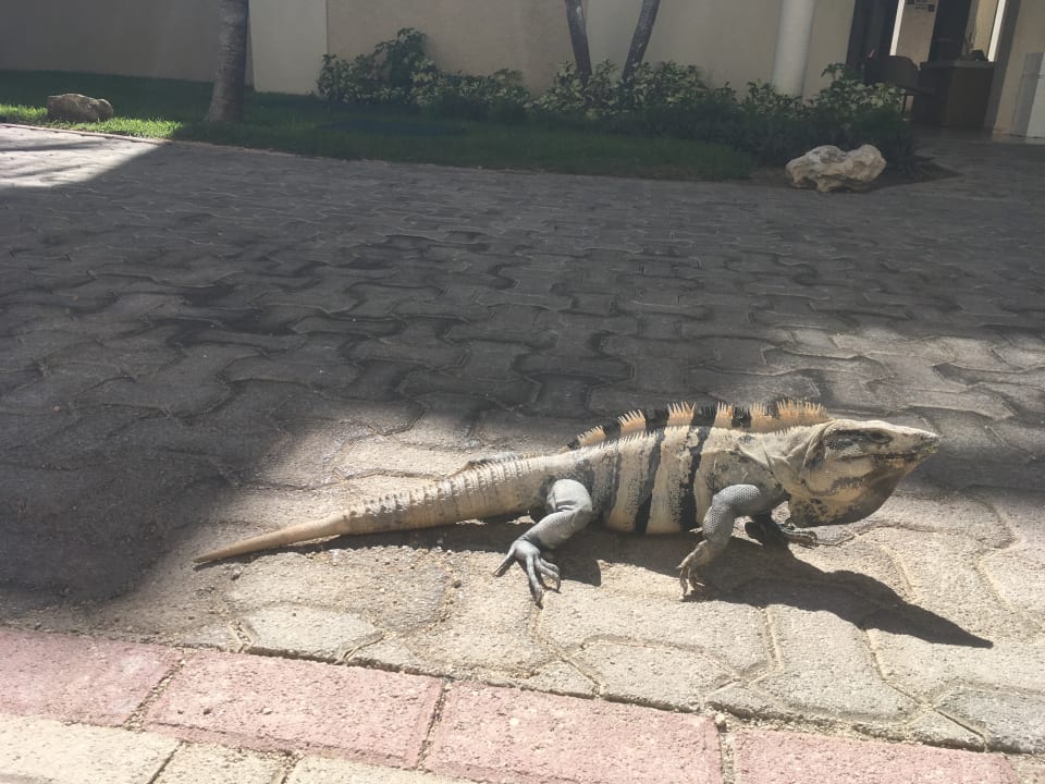 Sonstiges TRS Yucatan Hotel - Adults only