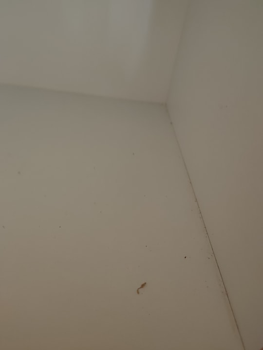 Zimmer Center Parcs Park Allgäu