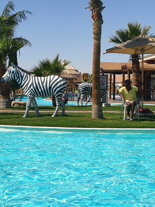 Pool Pickalbatros Jungle Aqua Park Resort - Neverland Hurghada