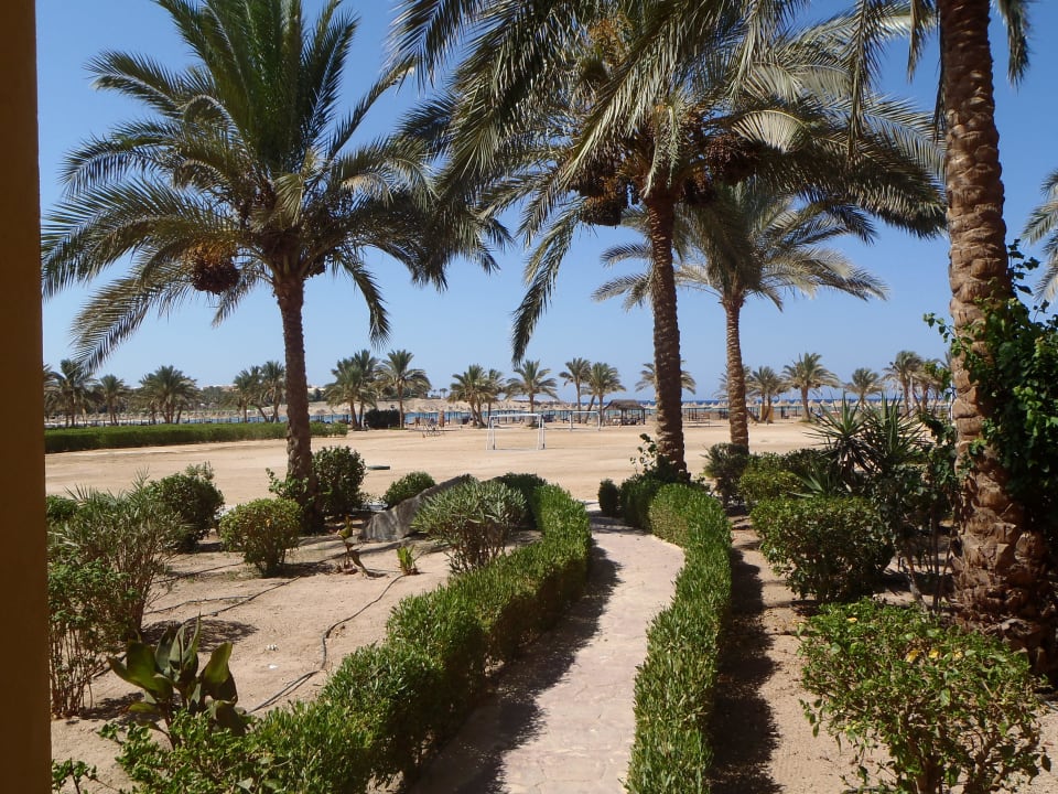 Blick vom Zimmer  Jaz Solaya