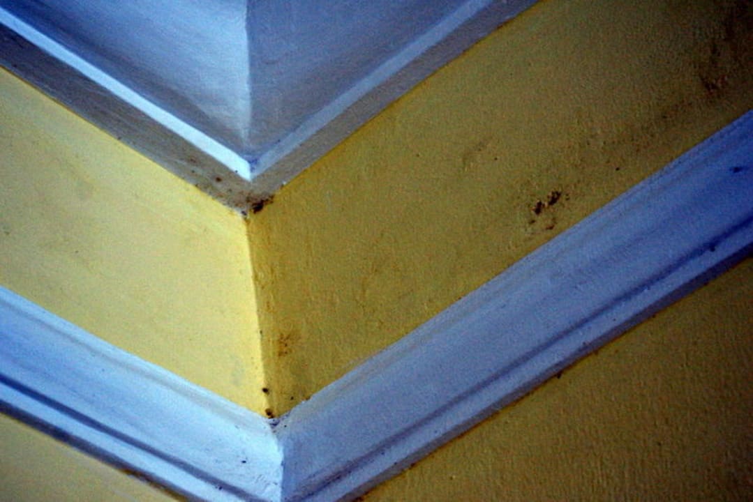 Schimmel Hotel Riu Negril