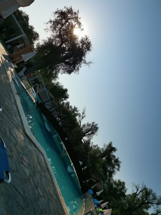 Pool Sentido Apollo Palace