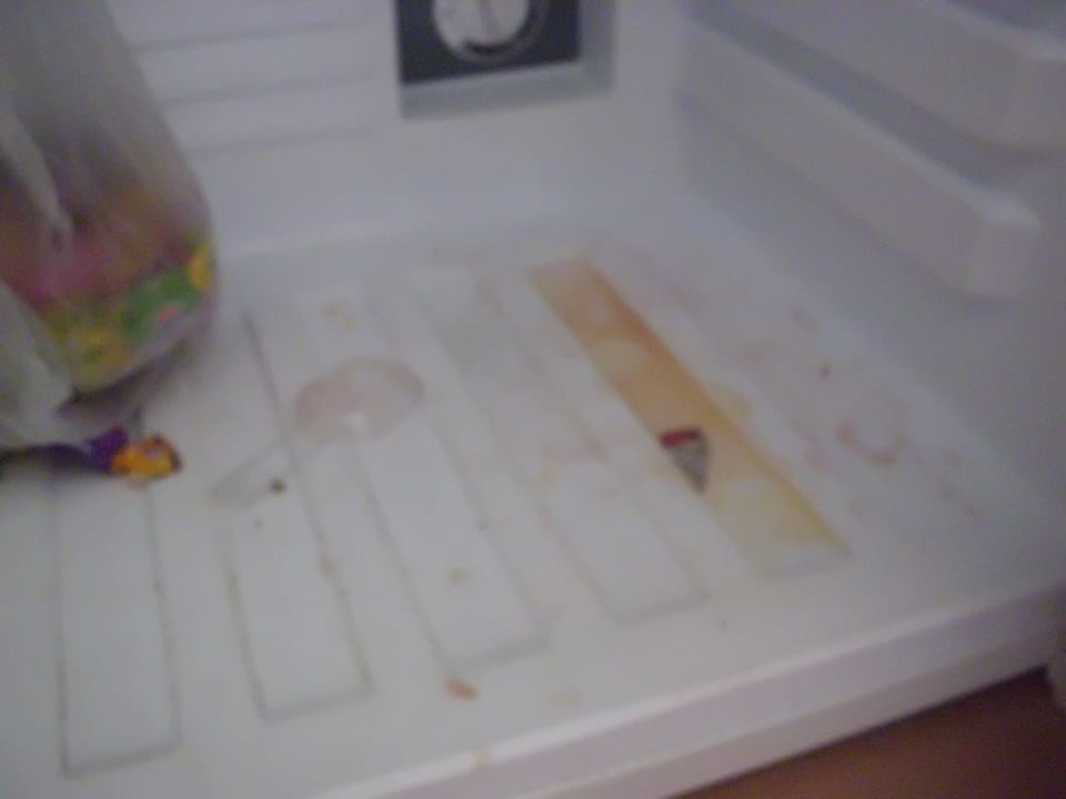 Mein Kühlschrank sah zwei Wochen lang so aus... Grand Yazici Club Marmaris Palace