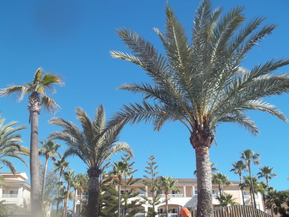 Hotel Playa Garden Playa Garden Selection Hotel & Spa