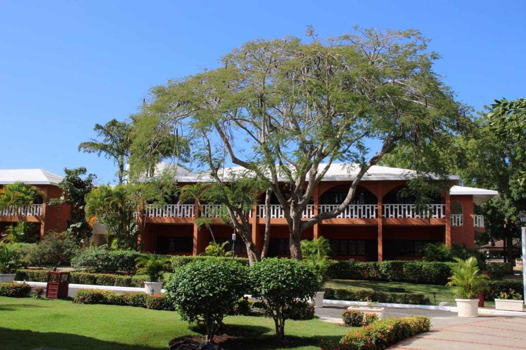 Zimmer BelleVue Dominican Bay