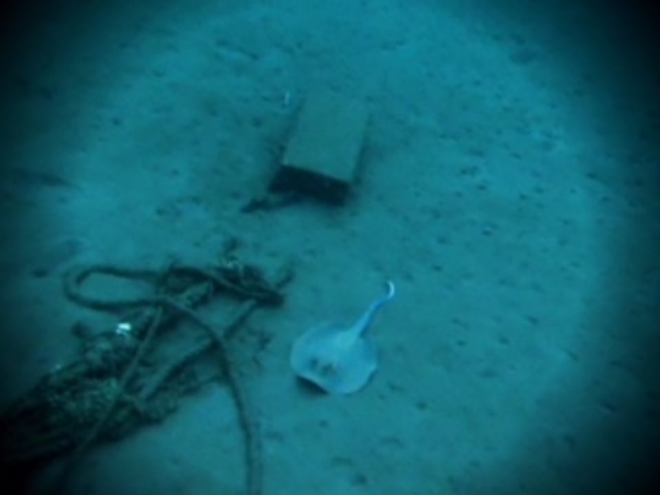 Strand Ghazala Gardens