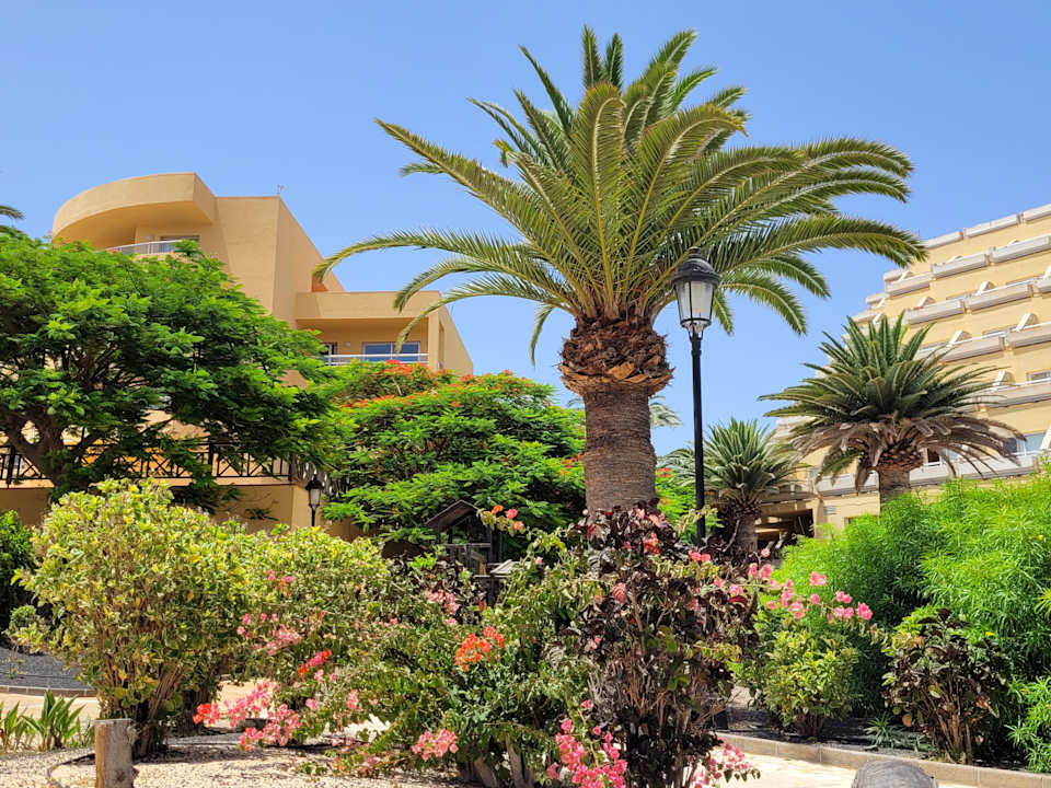 Außenansicht SBH Costa Calma Beach Resort