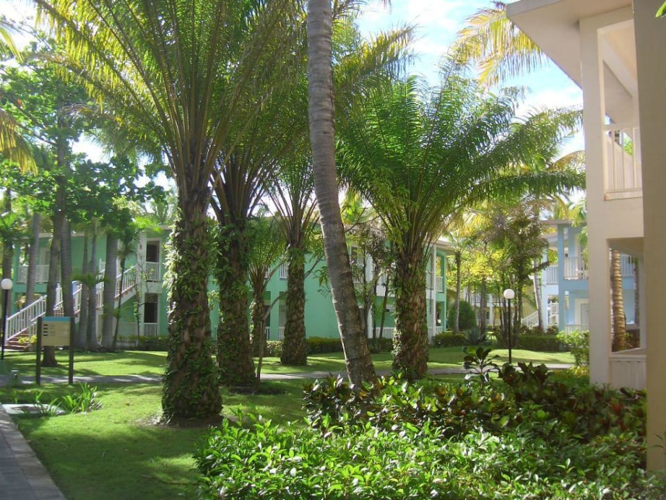 Gartenanlage Playabachata Hotel