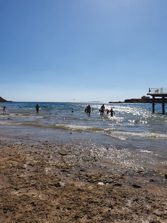 Strand Pickalbatros Aqua Blu Resort - Sharm El Sheikh