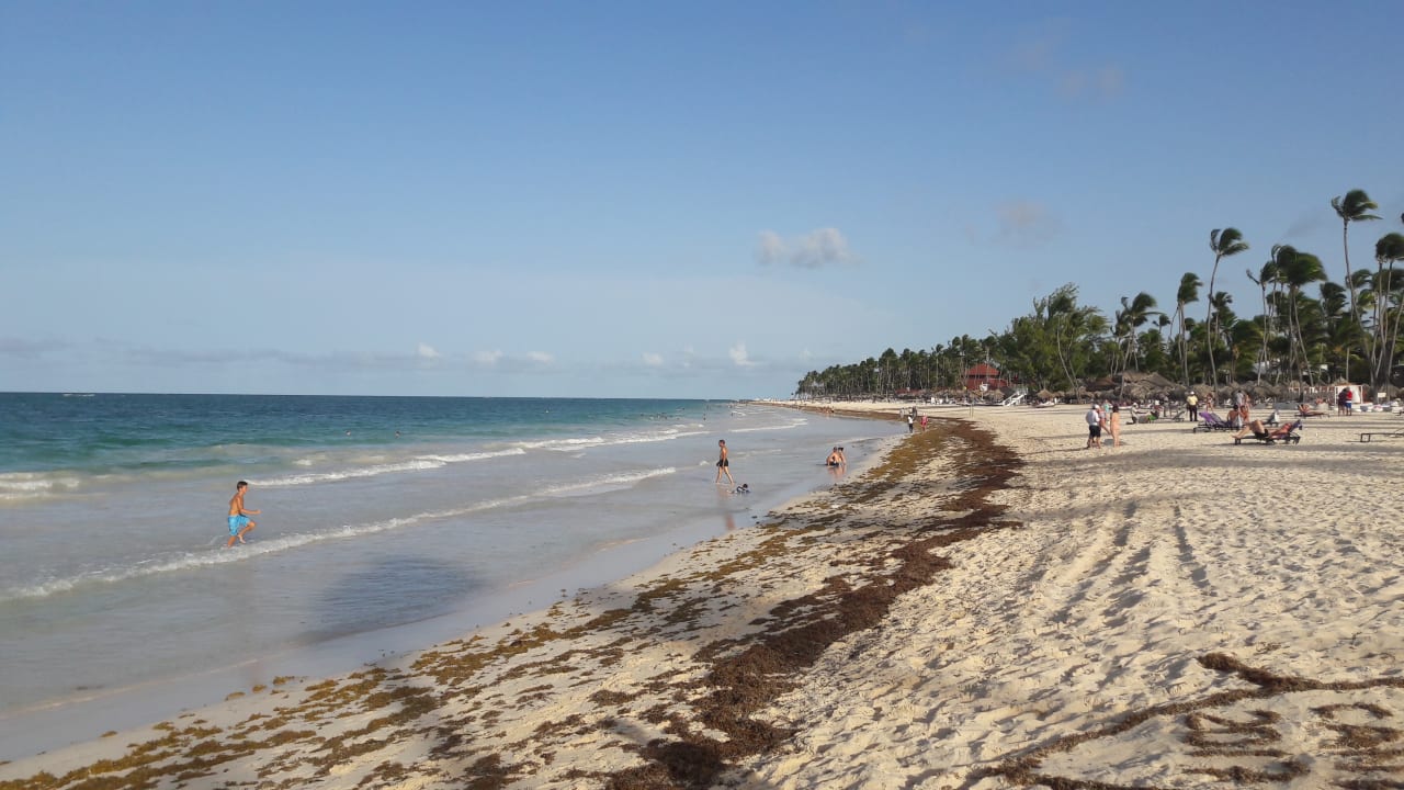 Strand Paradisus Punta Cana Resort (Im Umbau/Renovierung)