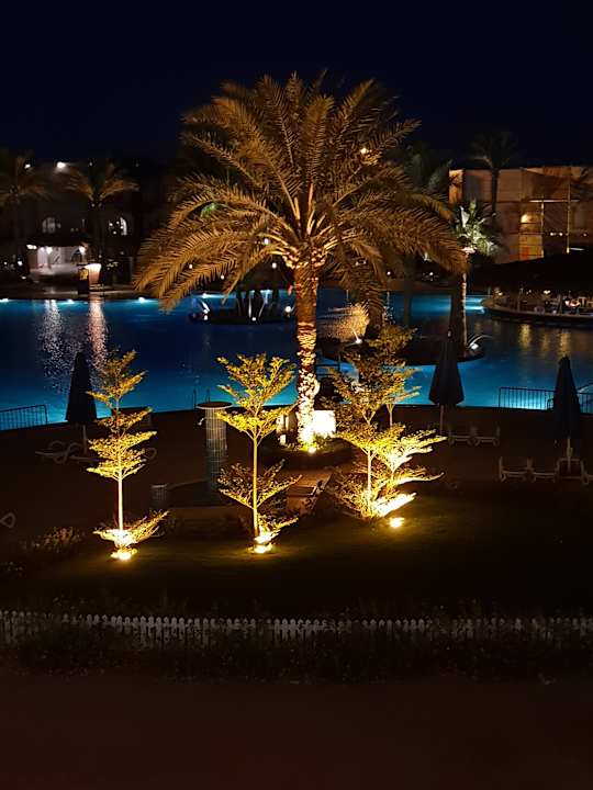 Ausblick Desert Rose