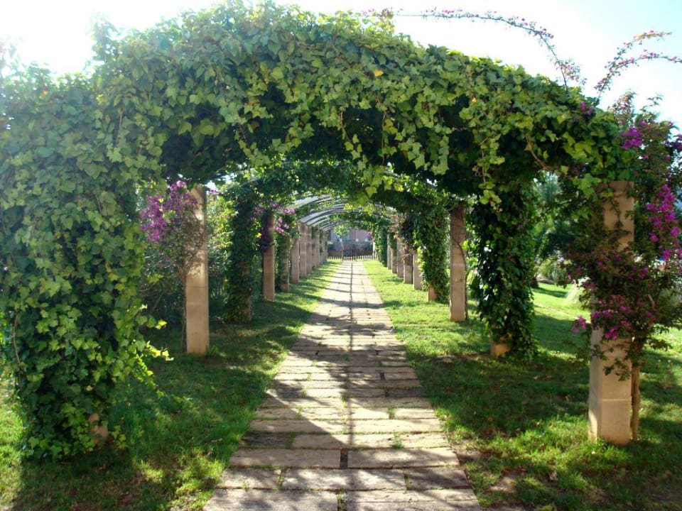 Weg in der Hotelanlage Garbí Cala Millor