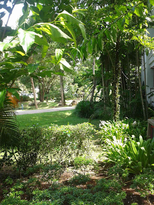 Schön im Garten Dusit Thani Krabi Beach Resort