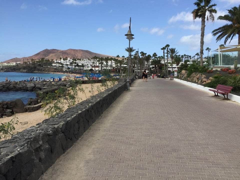 Strand H10 Rubicón Horizons Collection