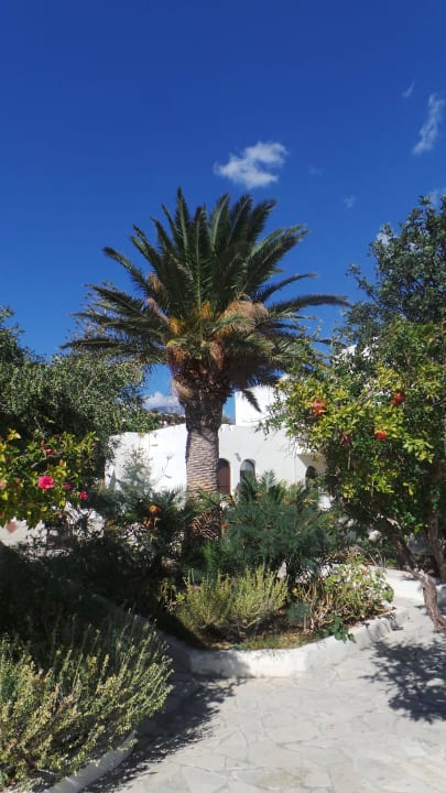 Gartenanlage Coriva Beach Hotel & Bungalows
