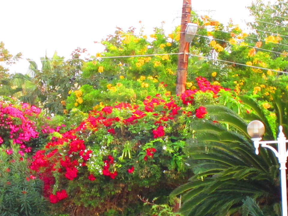 Garten ich habe Videos, bei Bedarf mailen Riverside Garden Resort
