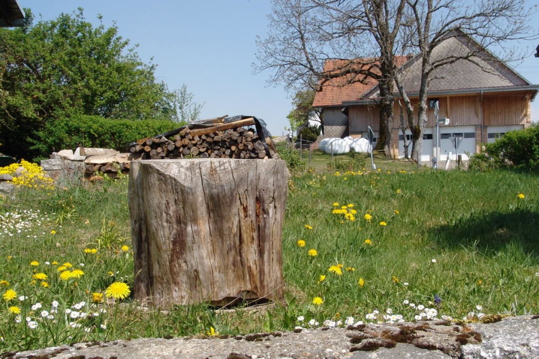 Aussicht Landgasthaus Hirschen