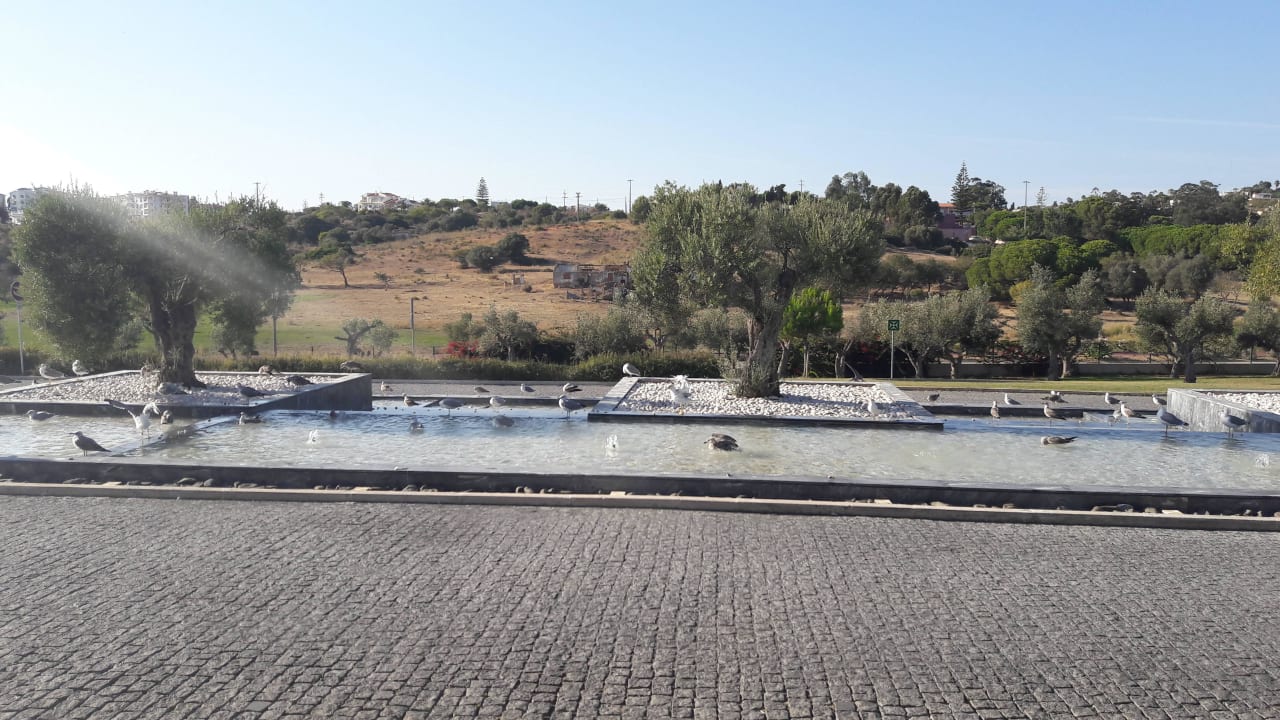 Hotelauffahrt/Vorplatz Hotel Vila Galé Lagos