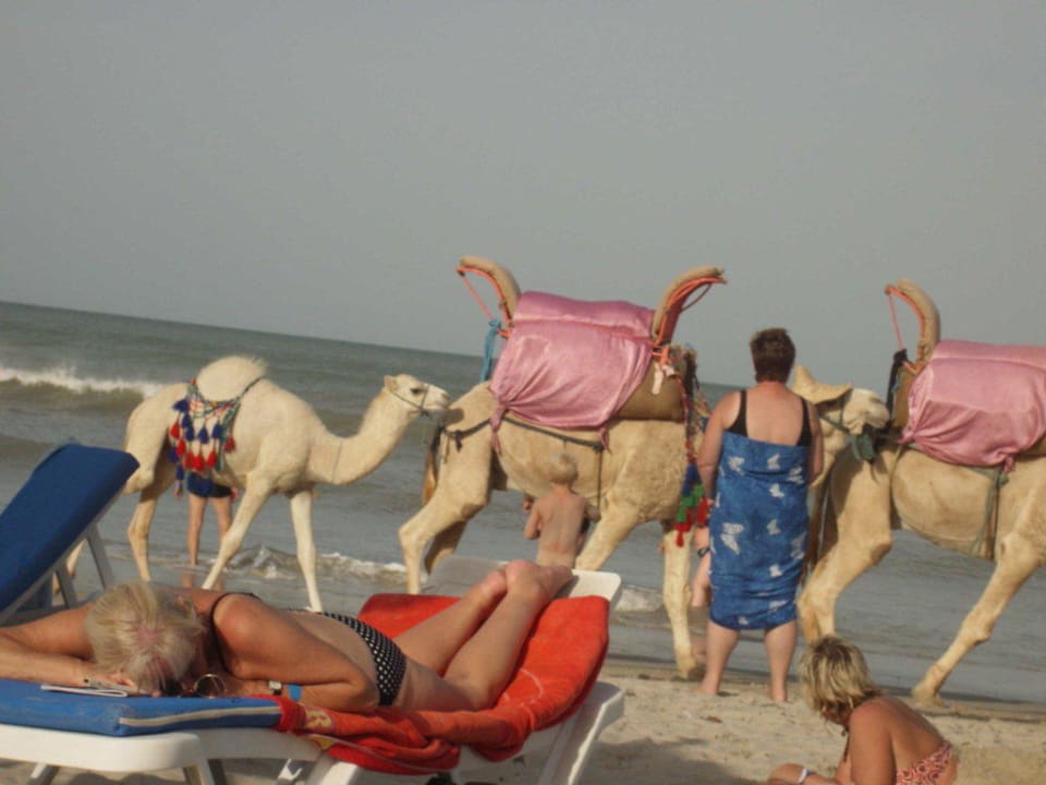 Kamel Club Marmara Palm Beach Djerba