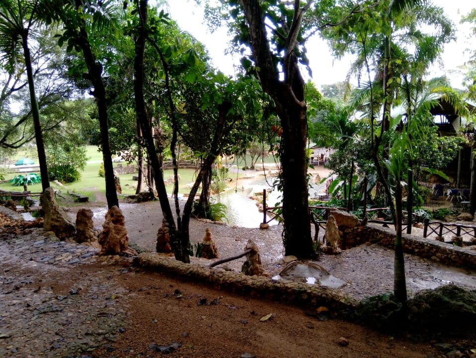 Gartenanlage B&B Paraiso Caño Hondo