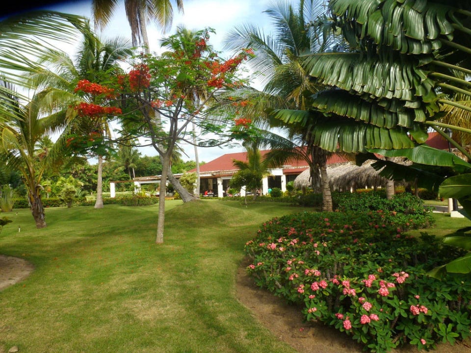 Gourmet & La Chanterelle TRS Turquesa Hotel - Adults only