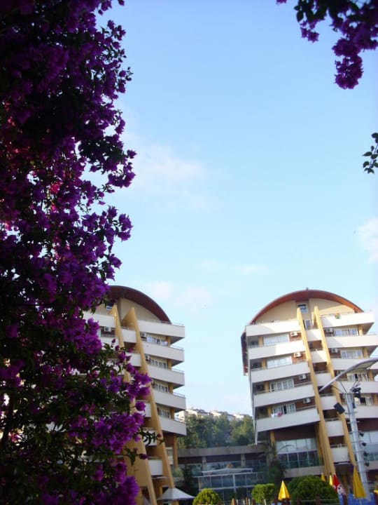 Blöcke 3 und 4 Alaiye Resort & Spa