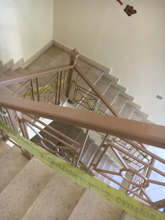 Sonstiges Desert Rose