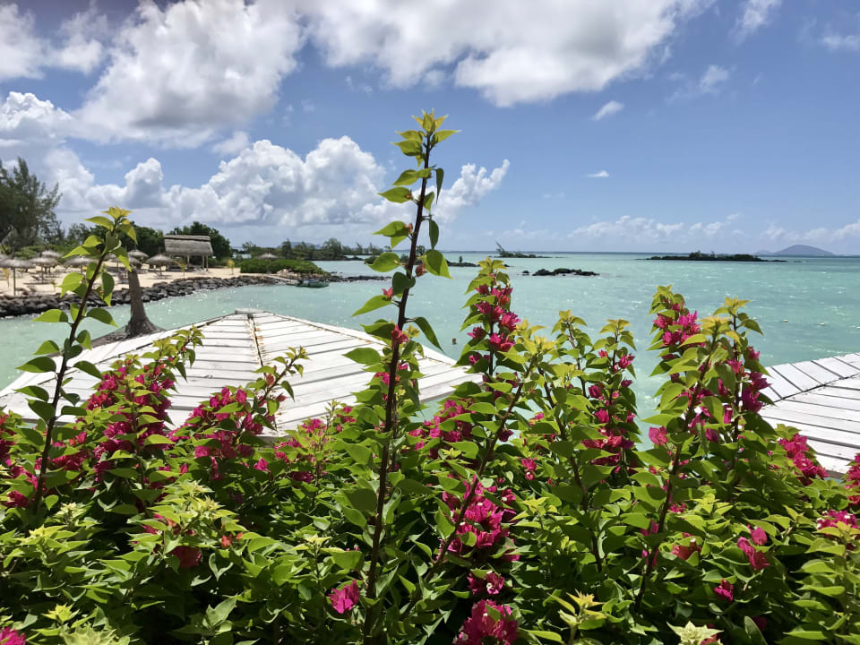 Ausblick Lagoon Attitude - Adults only