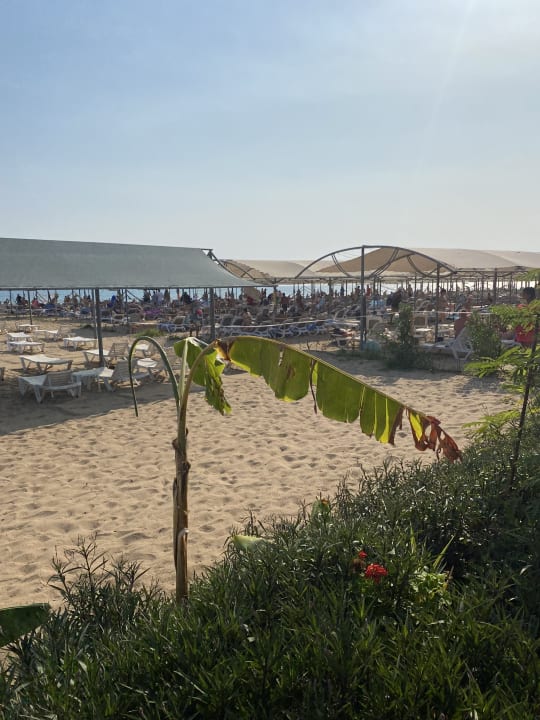 Strand Palm World Side Resort & Spa