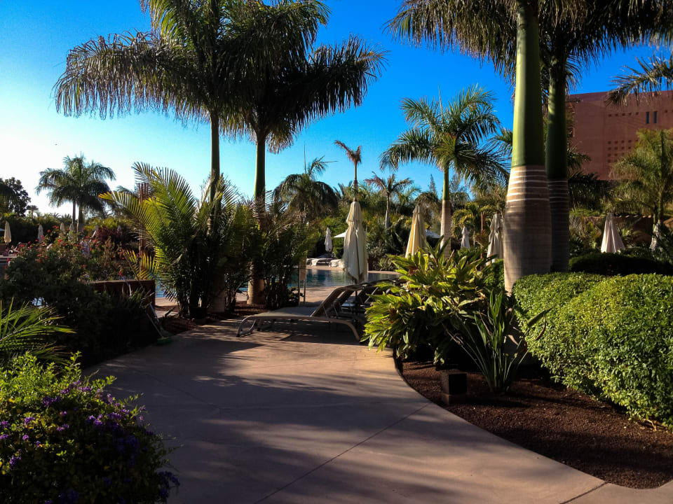 Alles gepflegt Lopesan Baobab Resort