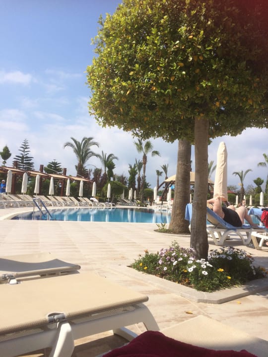 Aussicht von der Liege  Saphir Resort & Spa