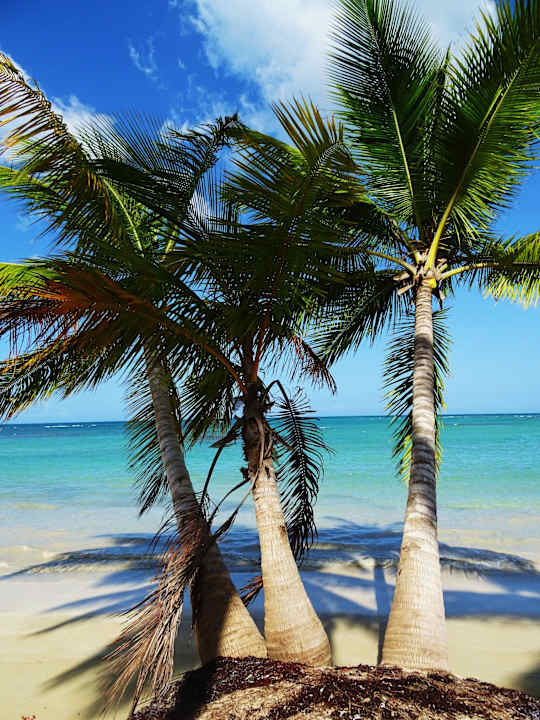 Strandspaziergang Bahia Principe Grand El Portillo