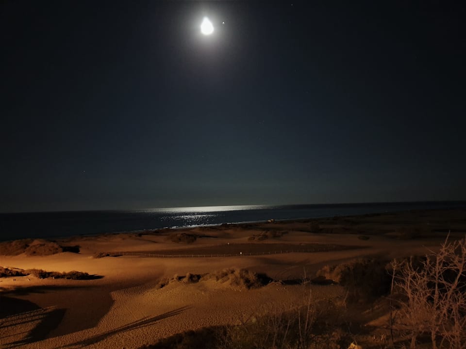 Ausblick Sahara Beach Club