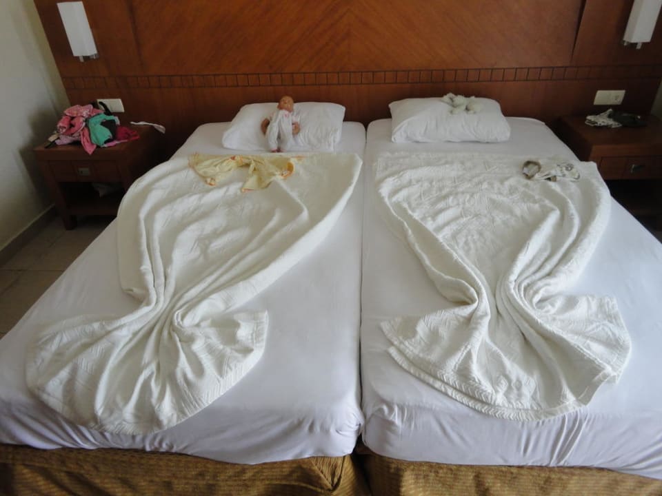 Service Calimera Serra Palace