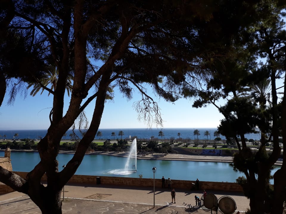 Sonstiges Hotel Riu San Francisco - Adults only