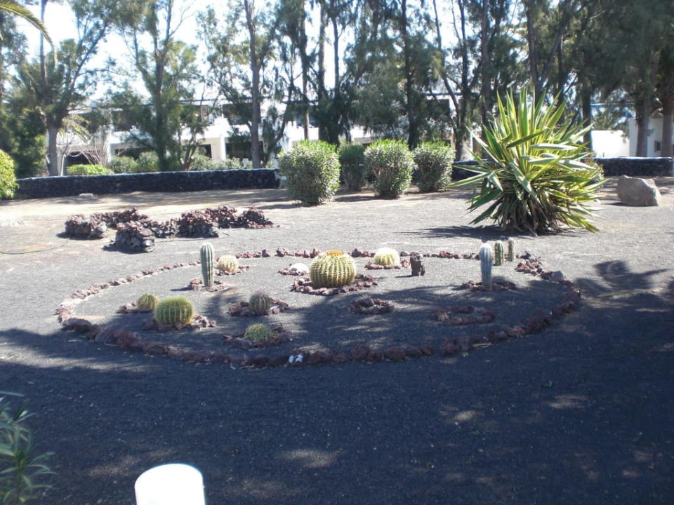 Garten Relaxia Olivina