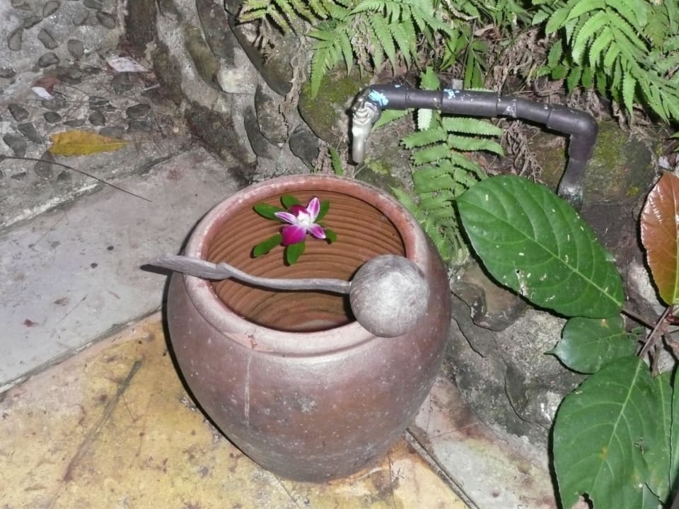 Fußwaschanlage :-) Moracea by Khao Lak Resort