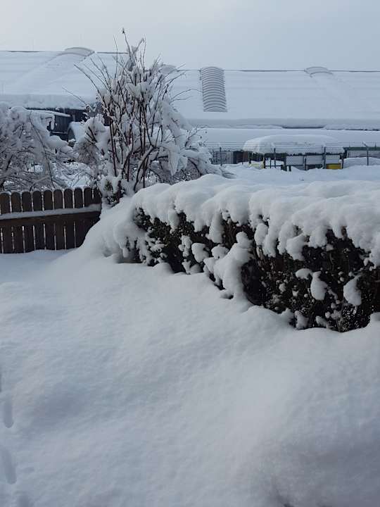 Gartenanlage Appartement Bruckberg