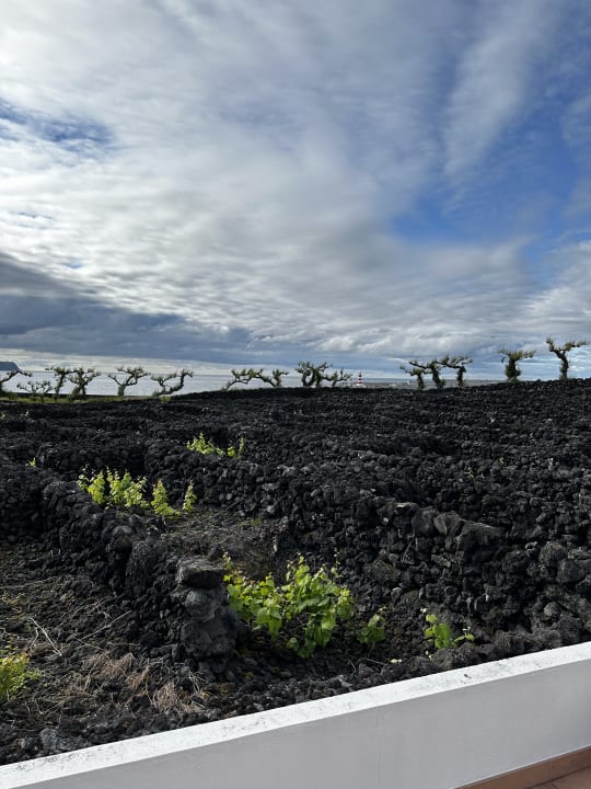 Ausblick Hotel Jeirões Do Mar