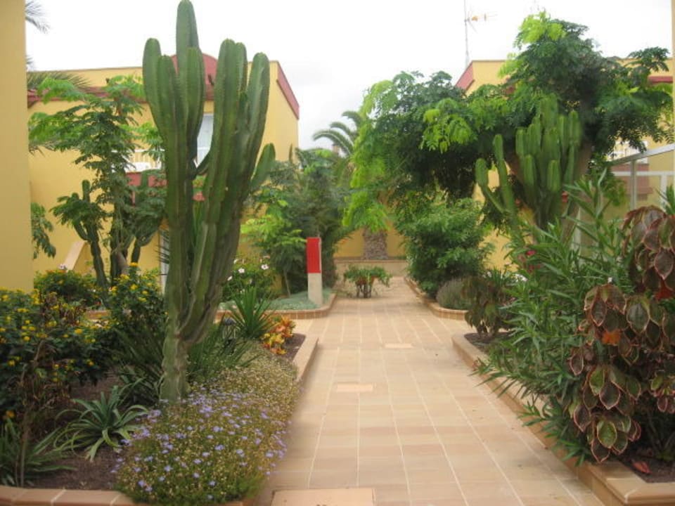 Alejka Hotel Arena Beach