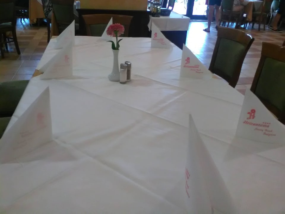 Chrysanteme in Hrizantema Hotel Hrizantema